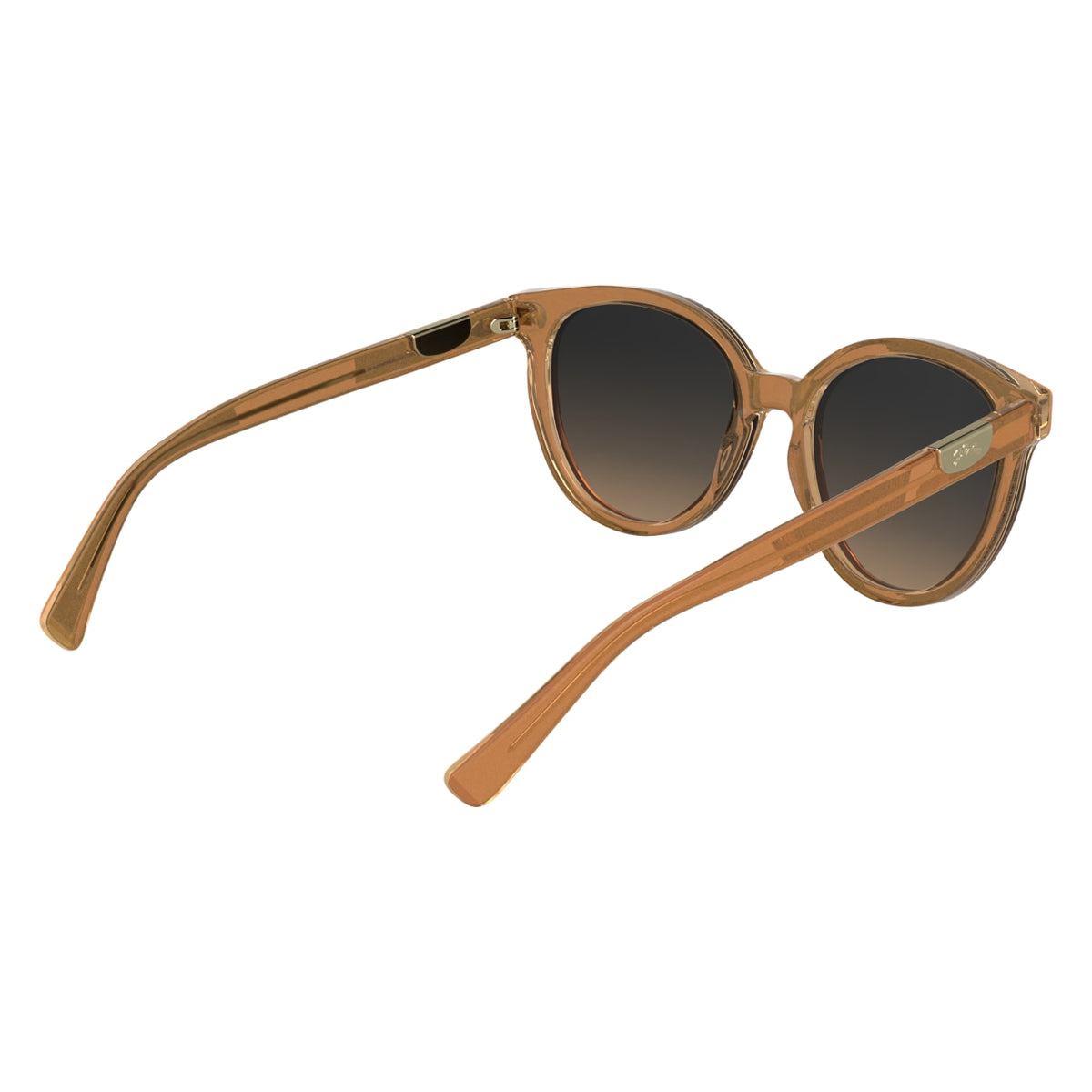 Gafas de Sol Longchamp LO773S 845 52 19