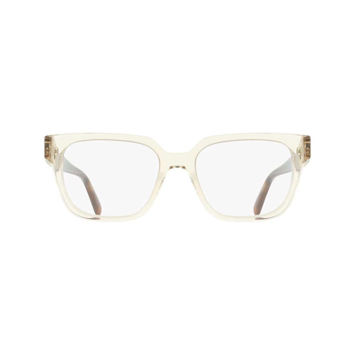 Prescription Glasses Ferragamo SF3056 259 55 18