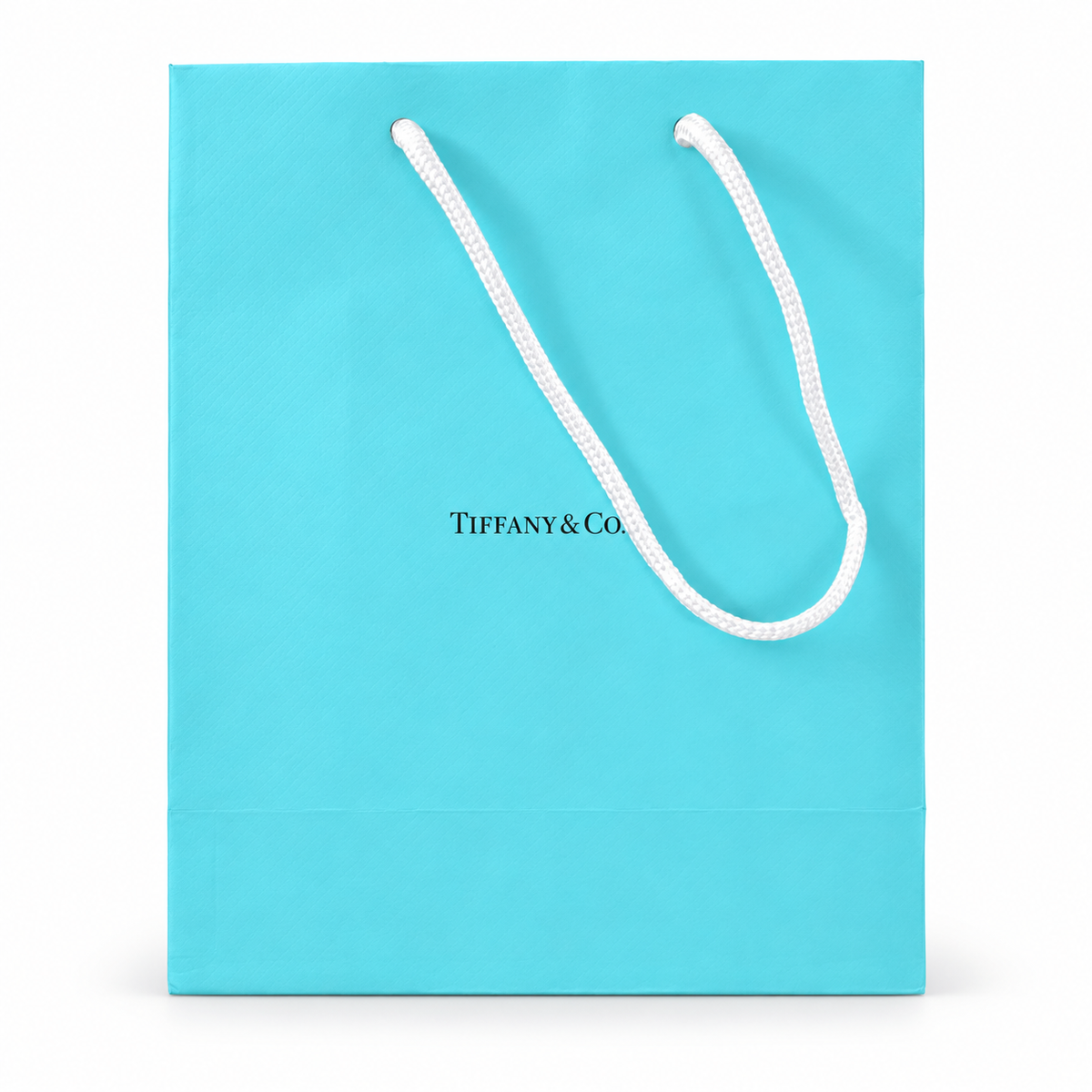 Bolsa de regalo oficial Tiffany & Co.