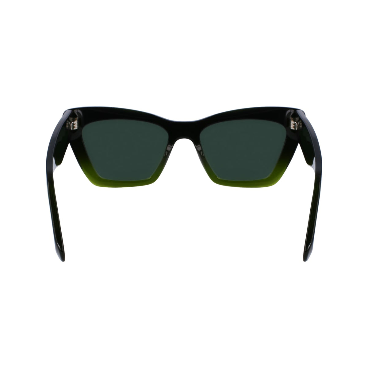 Sunglasses Ferragamo SF929SN 316 55 17