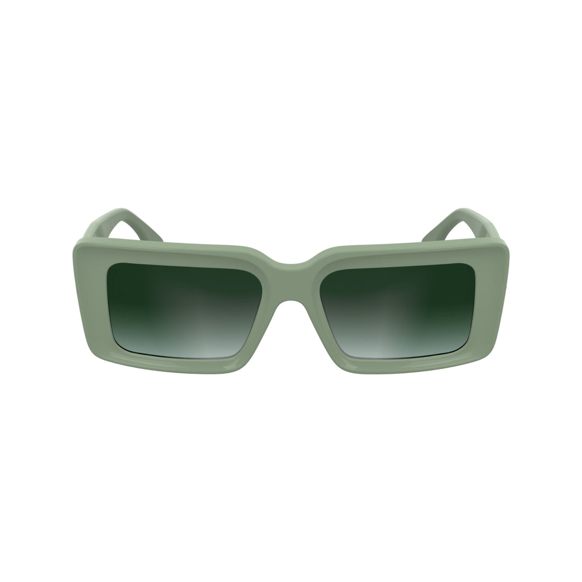 Gafas de Sol Karl Lagerfeld KL6180S 316 53 17