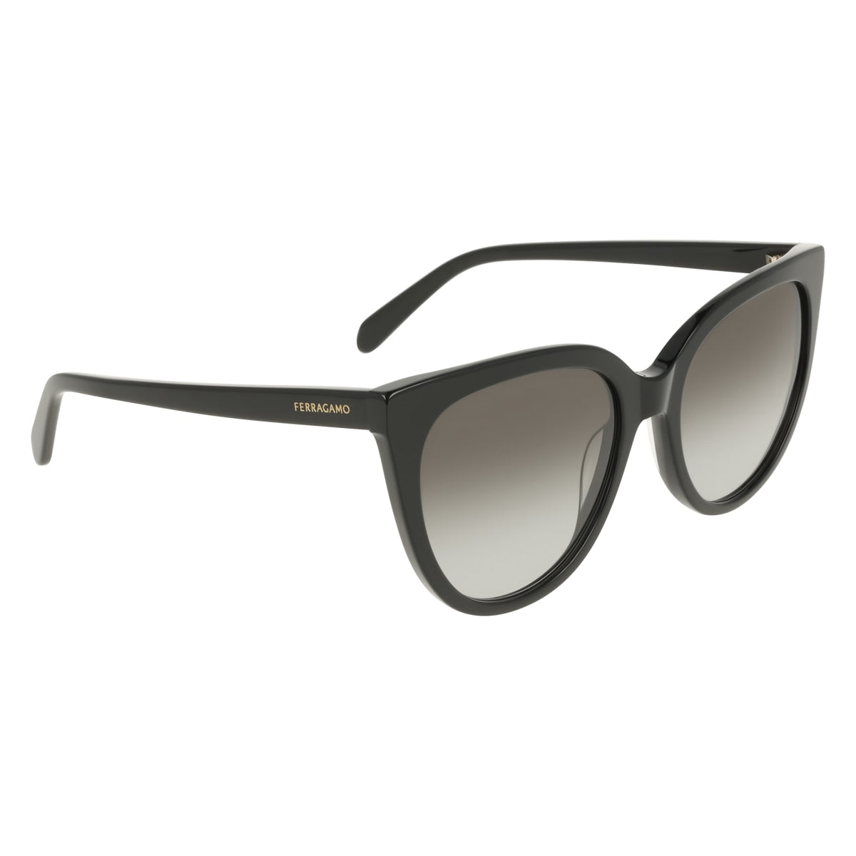 Sunglasses Ferragamo SF2101S 001 56 19