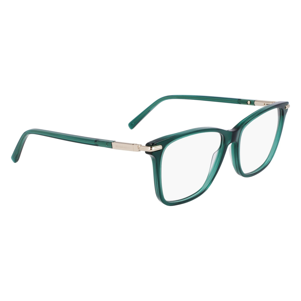 Prescription Glasses Ferragamo SF3013 317 55 15