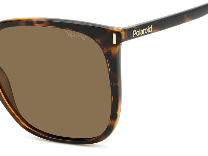 Gafas de Sol Polaroid PLD 6218/S 086SP 56 19