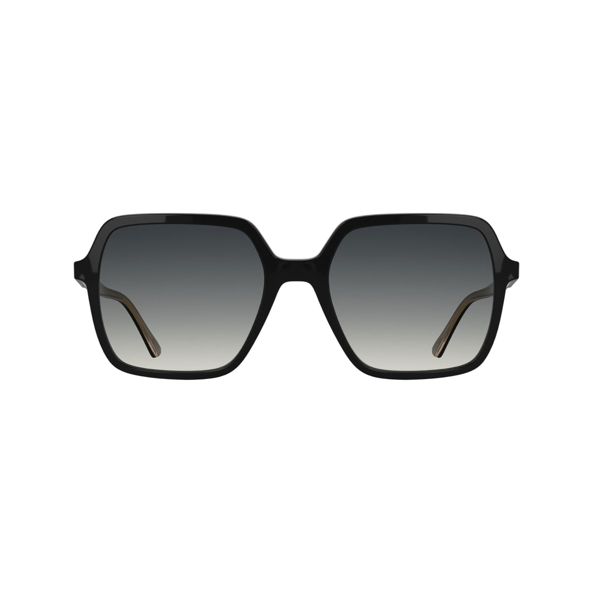 Gafas de Sol Calvin Klein (Ck) CK26531S 001 55 19