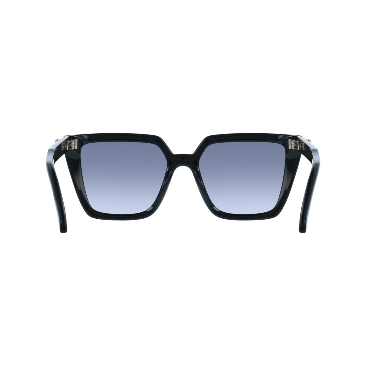 Gafas de Sol Ferragamo SF2058SE 001 54 17