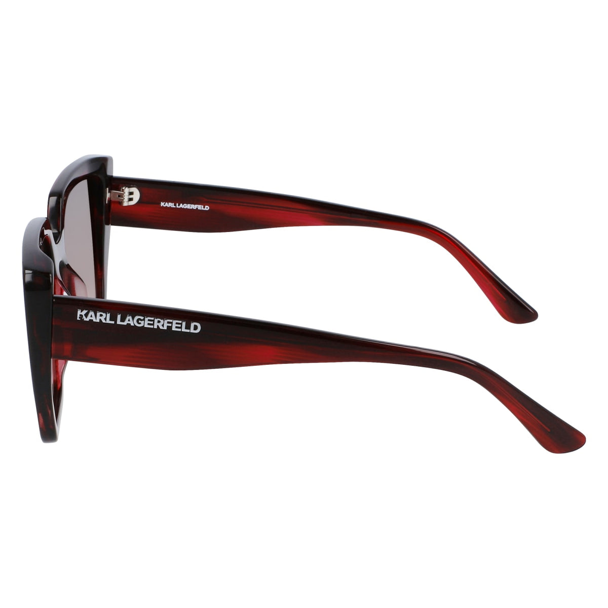 Gafas de Sol Karl Lagerfeld KL6036S 049 52 19