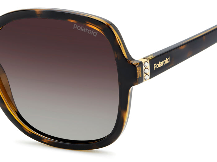 Gafas de Sol Polaroid PLD 4177/S/X 086LA 55 19