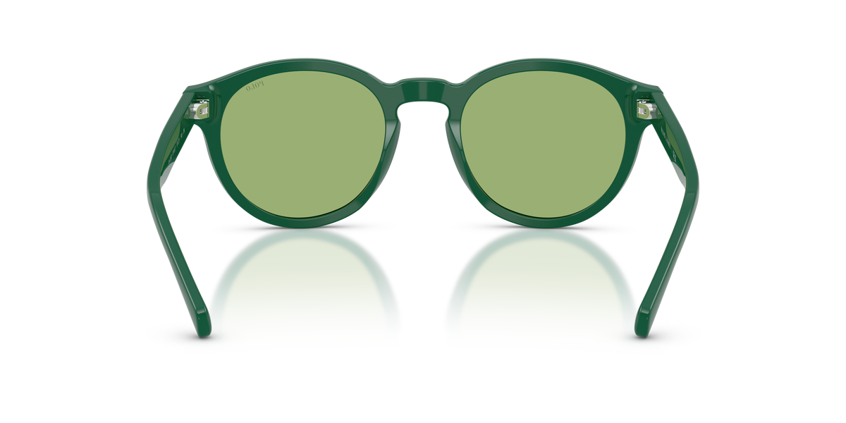 Gafas de Sol Polo Ralph Lauren PH4192 6141/2 51 21