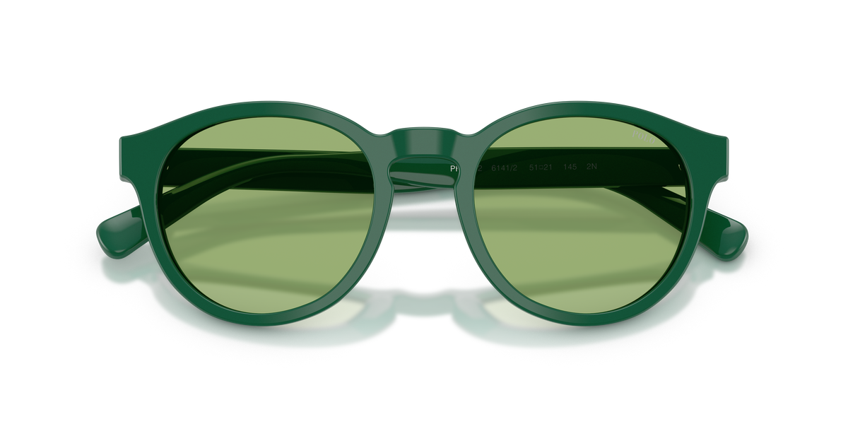 Gafas de Sol Polo Ralph Lauren PH4192 6141/2 51 21