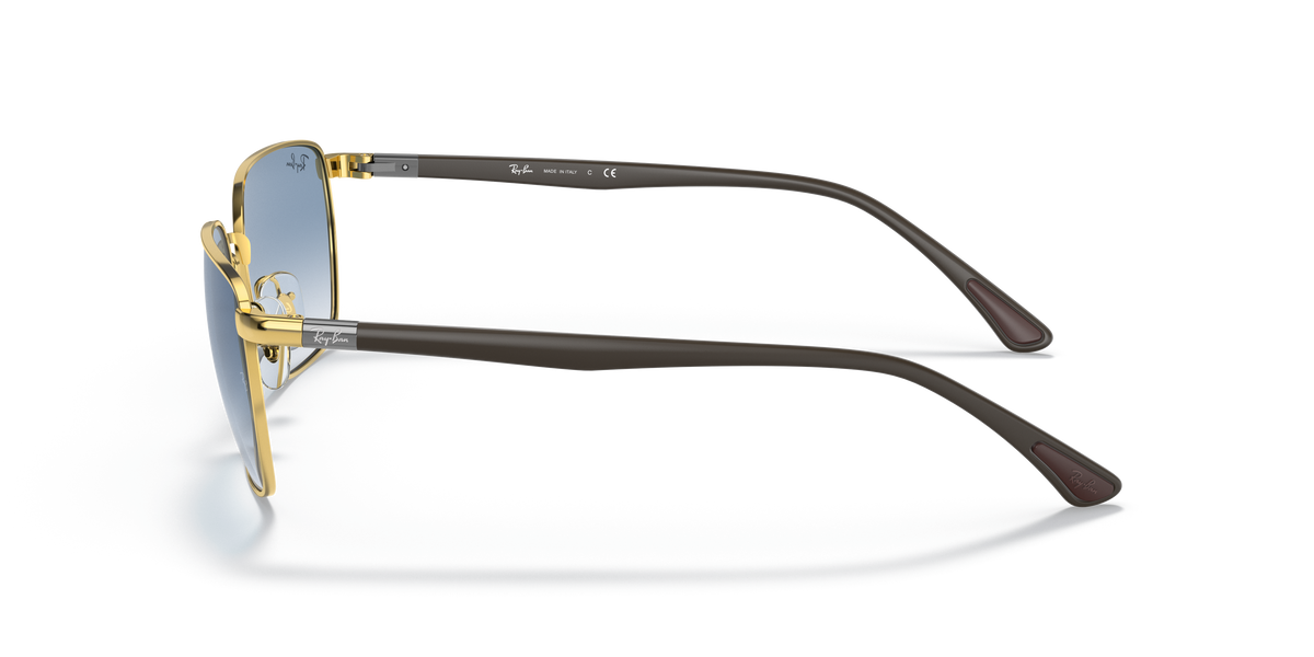 Gafas de Sol Ray-Ban RB3684 001/3F 58 18