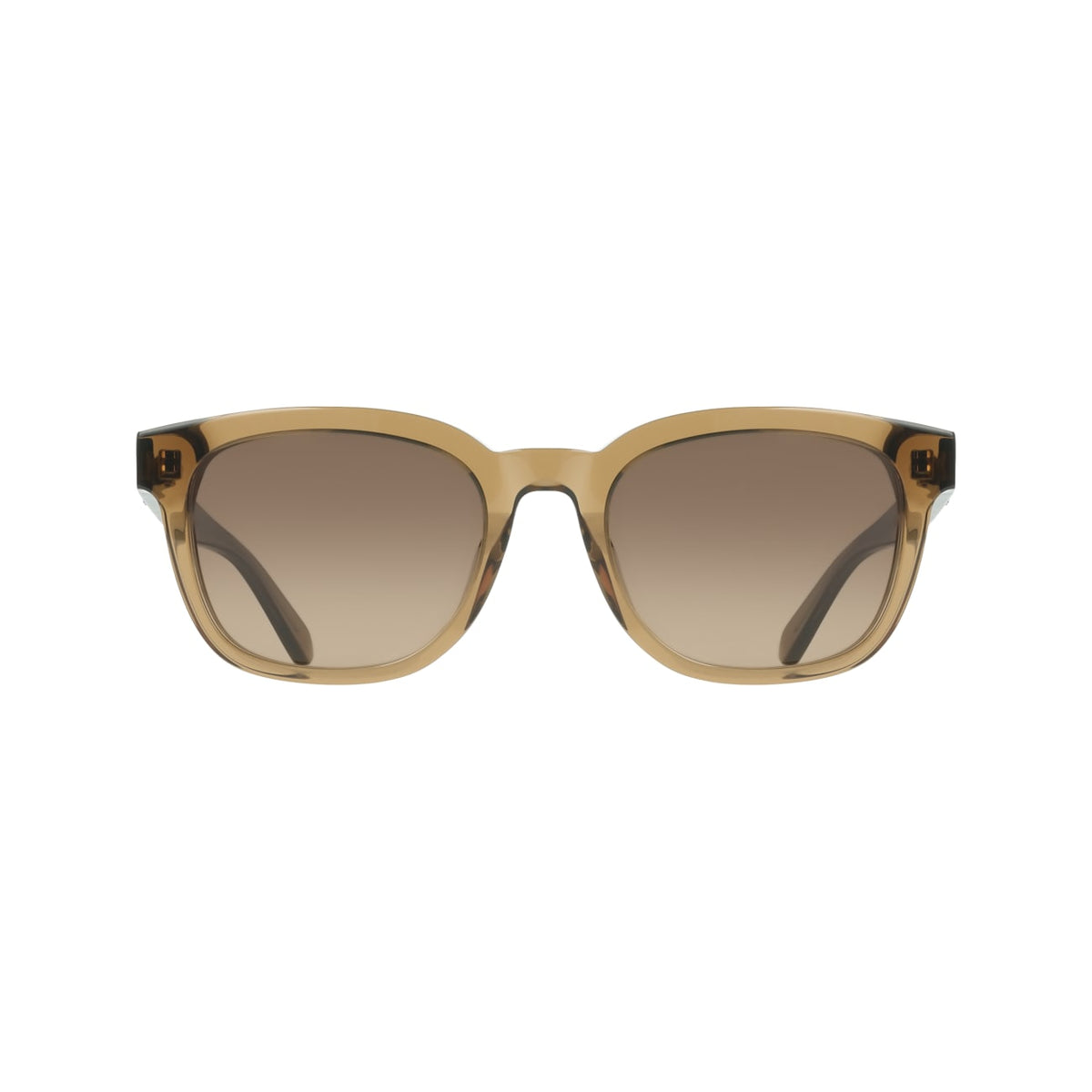 Gafas de Sol Ferragamo SF2107S 232 54 21