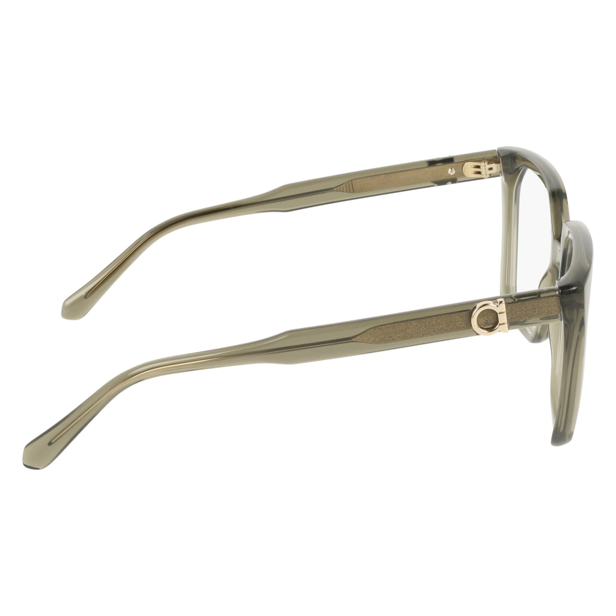 Prescription Glasses Ferragamo SF3042E 320 55 18