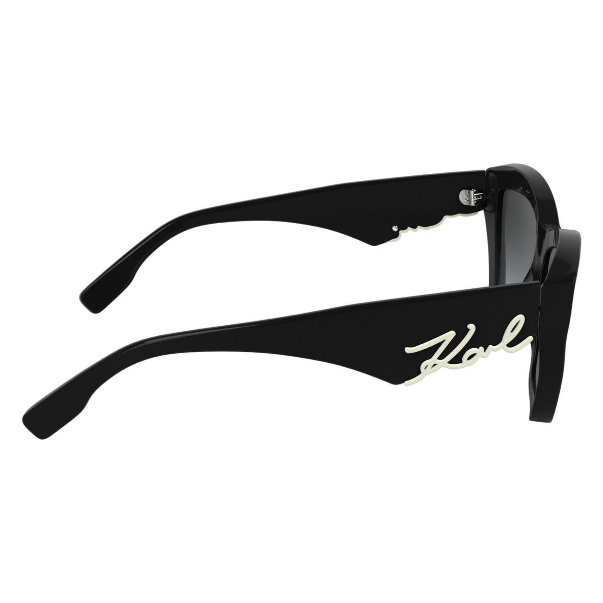 Gafas de Sol Karl Lagerfeld KL6179S 001 55 16