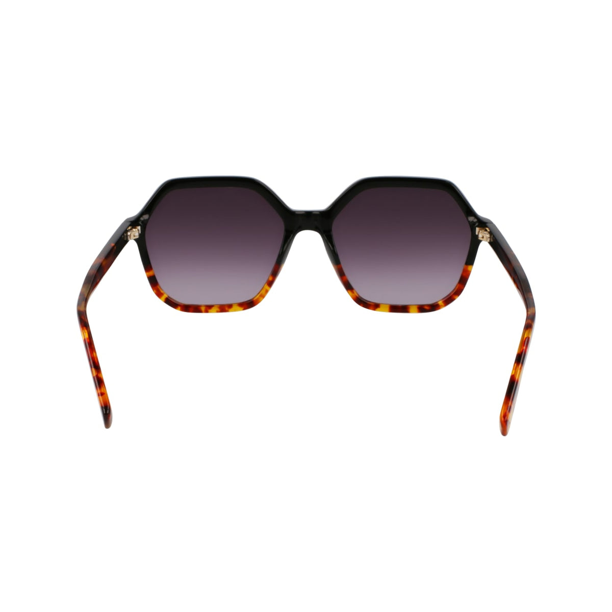 Gafas de Sol Longchamp LO760S 011 56 17