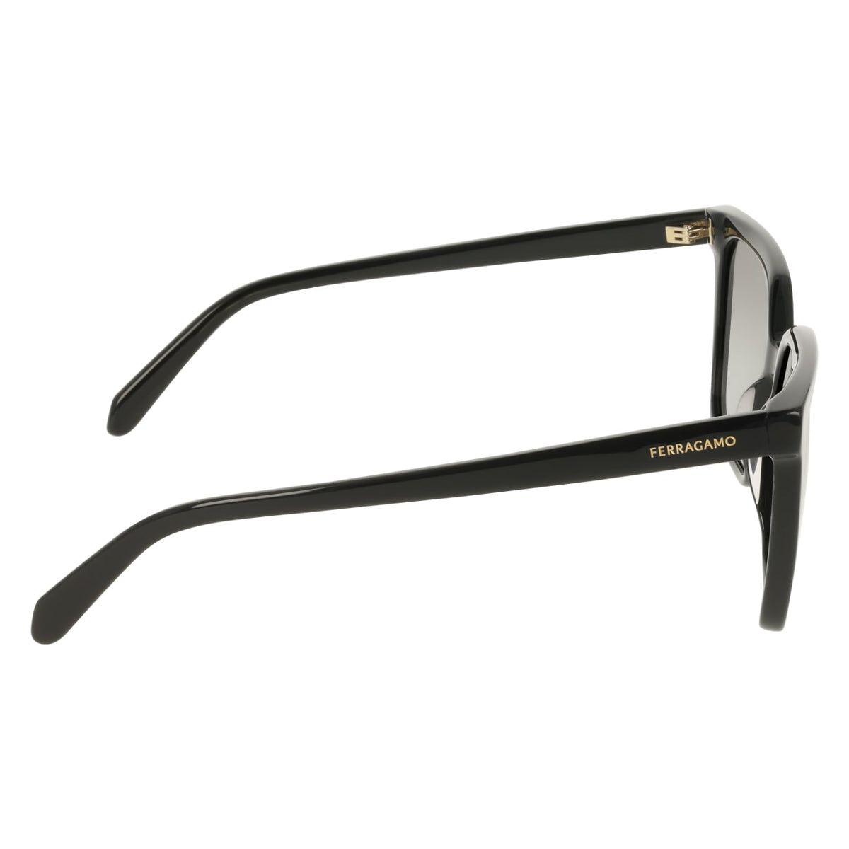 Gafas de Sol Ferragamo SF2102S 001 57 16