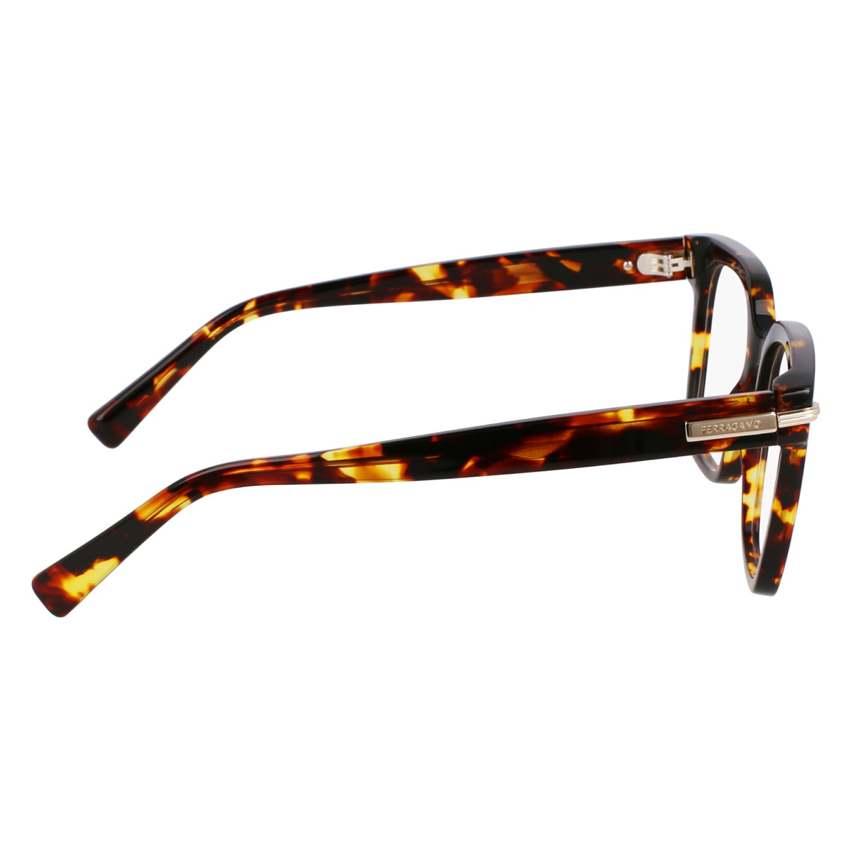 Gafas Graduadas Ferragamo SF3009 242 52 18