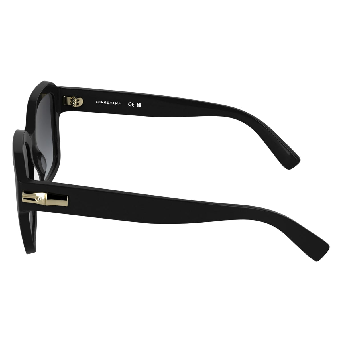 Sunglasses Longchamp LO816S 001 53 20