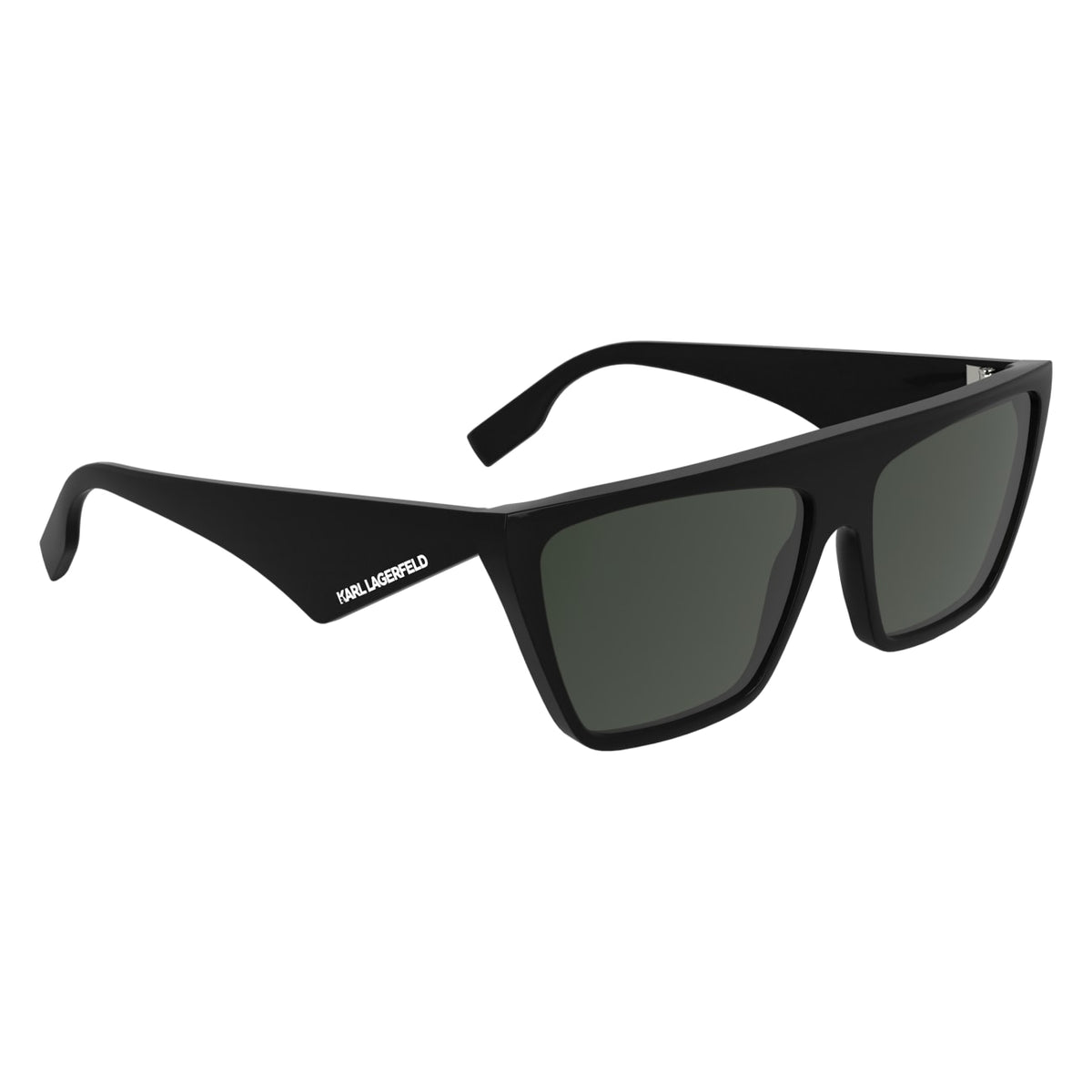 Gafas de Sol Karl Lagerfeld KL6186S 001 60 15