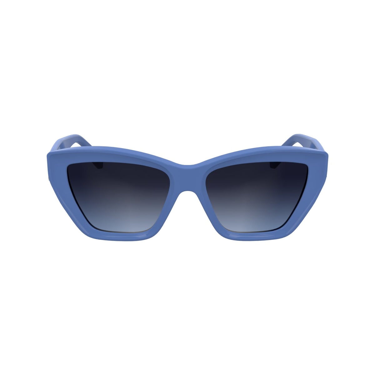 Gafas de Sol Karl Lagerfeld KL6179S 423 55 16