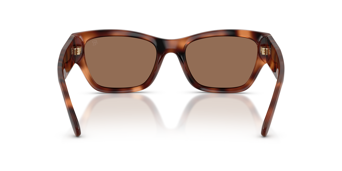 Sunglasses Ralph Lauren RL8240U 635173 55 19