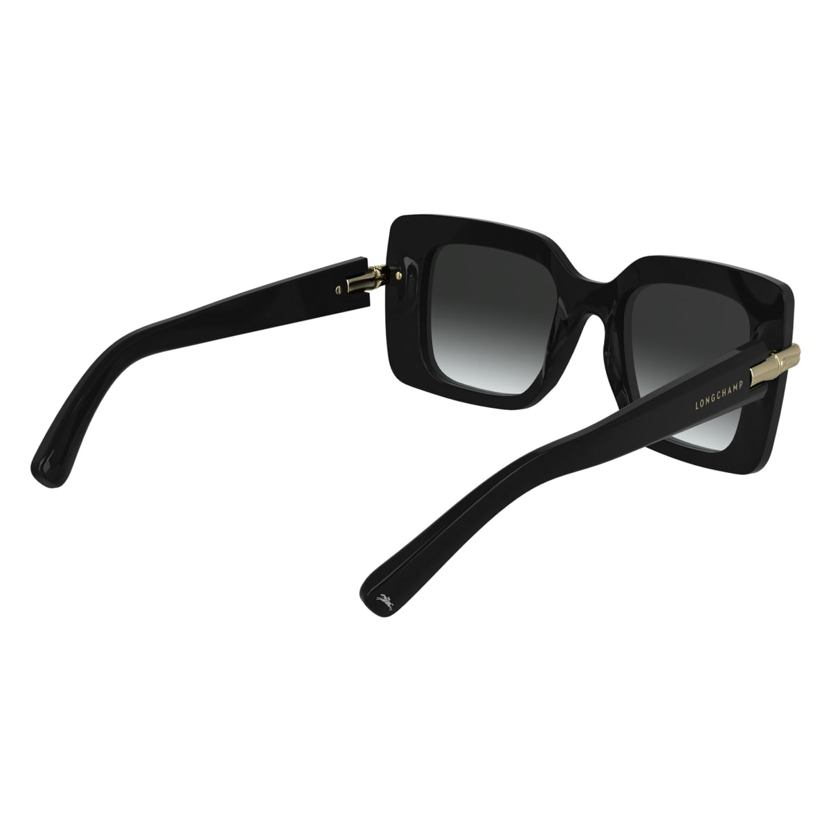 Gafas de Sol Longchamp LO776S 001 50 22
