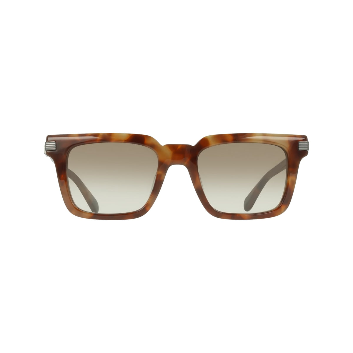 Sunglasses Ferragamo SF2103S 225 53 21