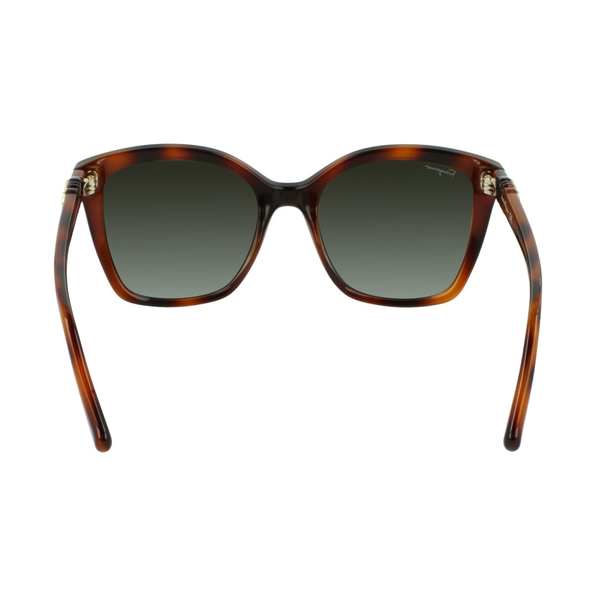 Gafas de Sol Ferragamo SF1026S 214 53.9 19
