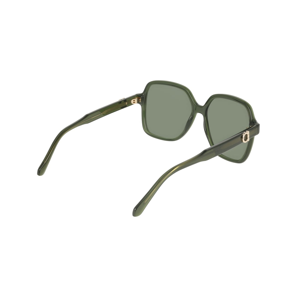 Gafas de Sol Ferragamo SF2069SE 317 57 15