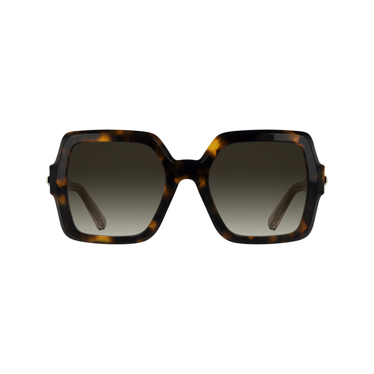 Gafas de Sol Longchamp LO790S 231 54 22