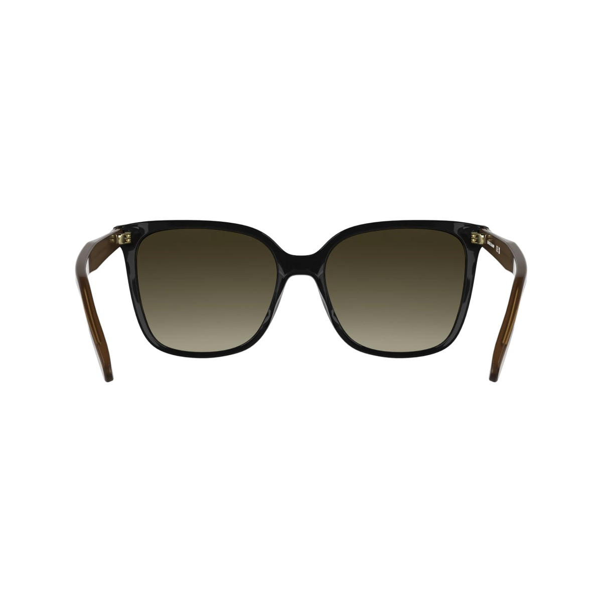 Gafas de Sol Longchamp LO807S 001 55 17