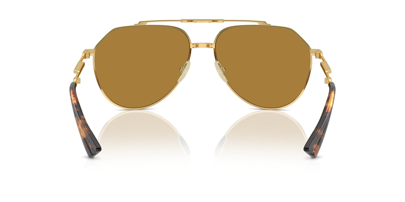 Gafas de Sol Dolce & Gabbana DG2302 02/53 60 15