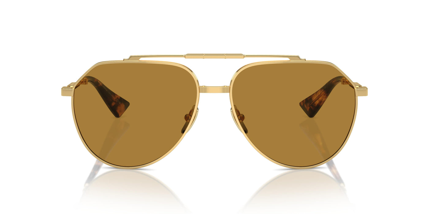 Gafas de Sol Dolce & Gabbana DG2302 02/53 60 15