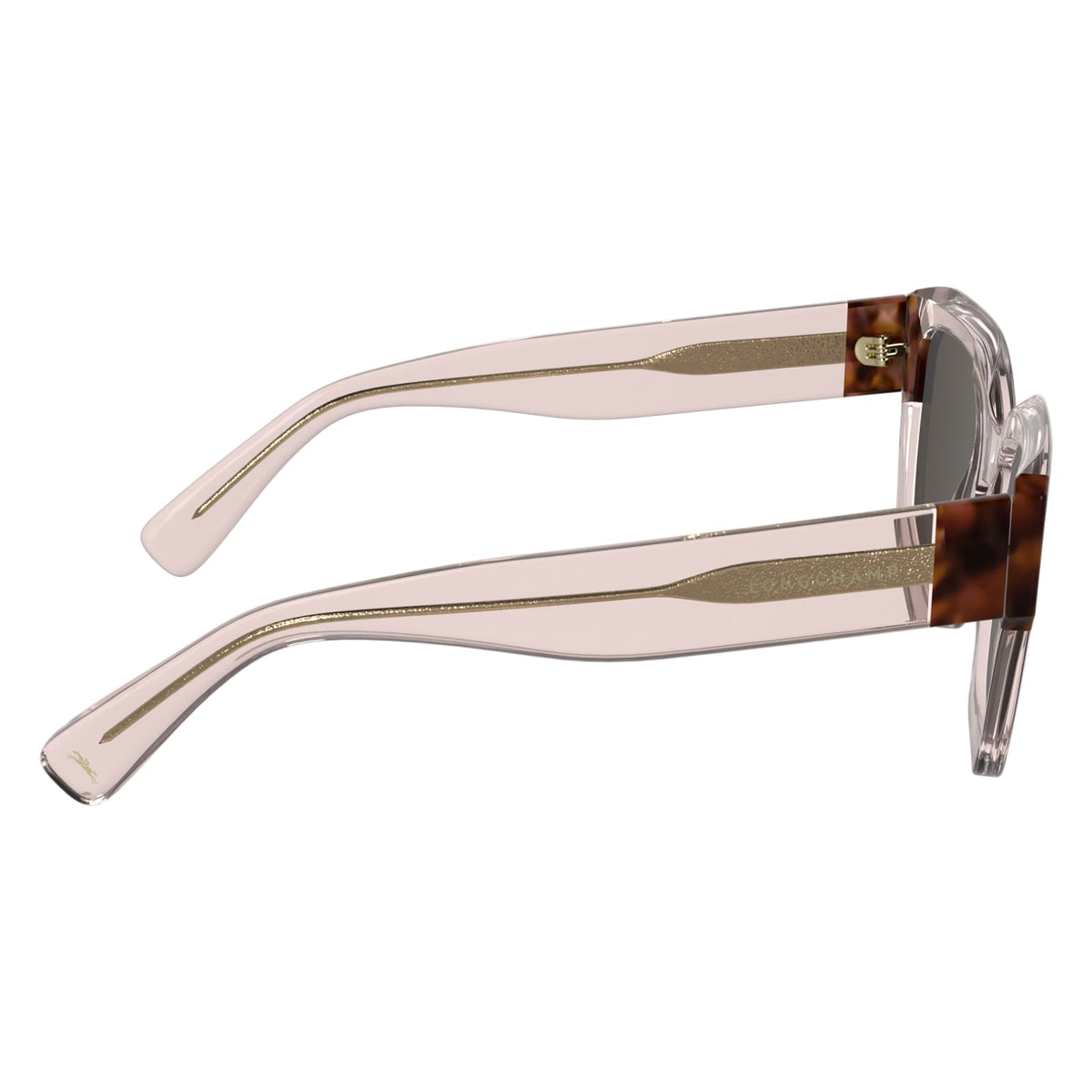 Sunglasses Longchamp LO771S 613 50 20