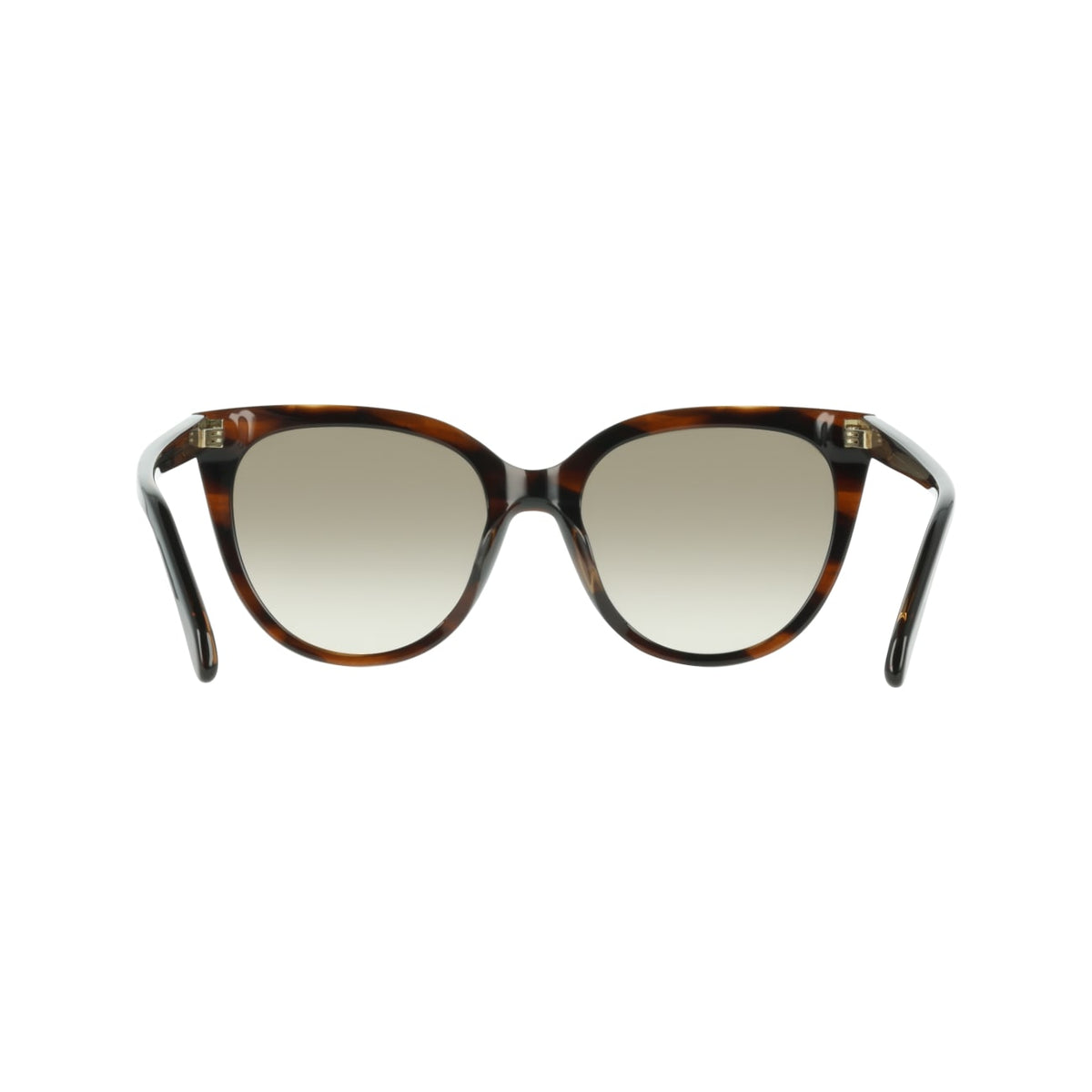 Sunglasses Ferragamo SF2101S 216 56 19