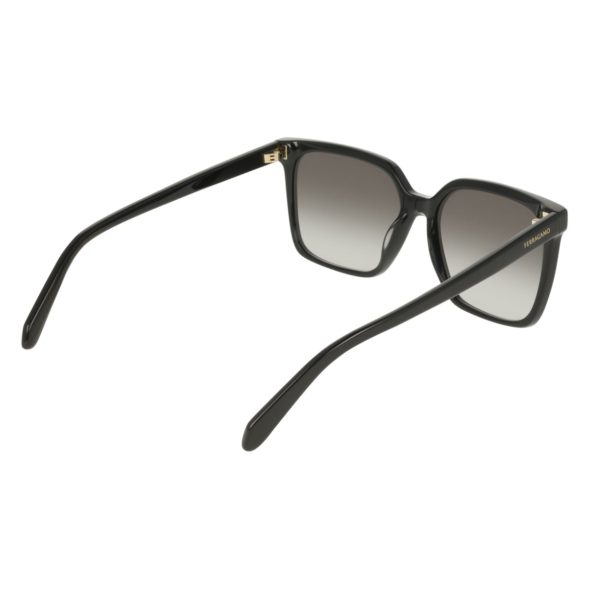 Gafas de Sol Ferragamo SF2102S 001 57 16