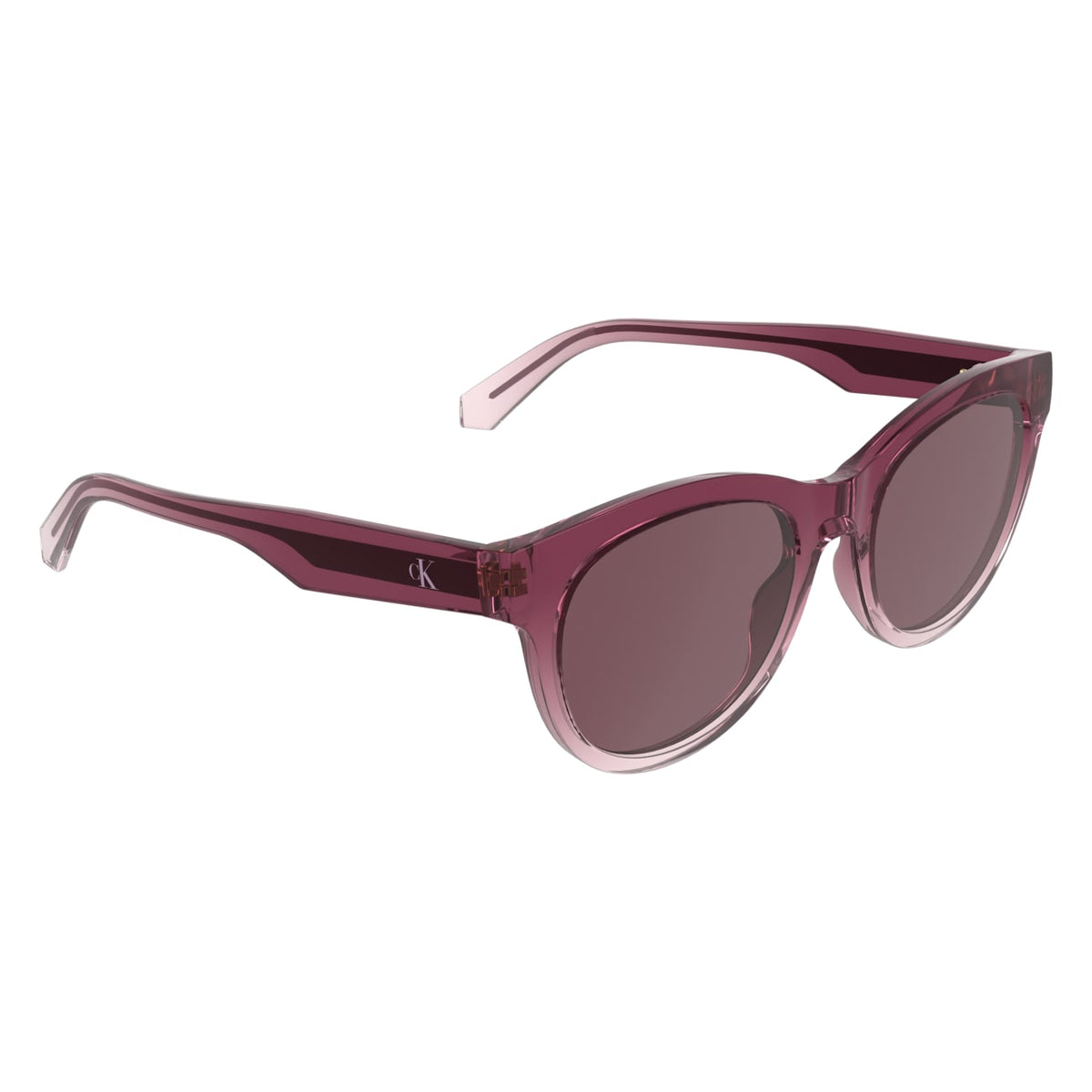 Gafas de Sol Calvin Klein Jeans CKJ26600S 606 53 19