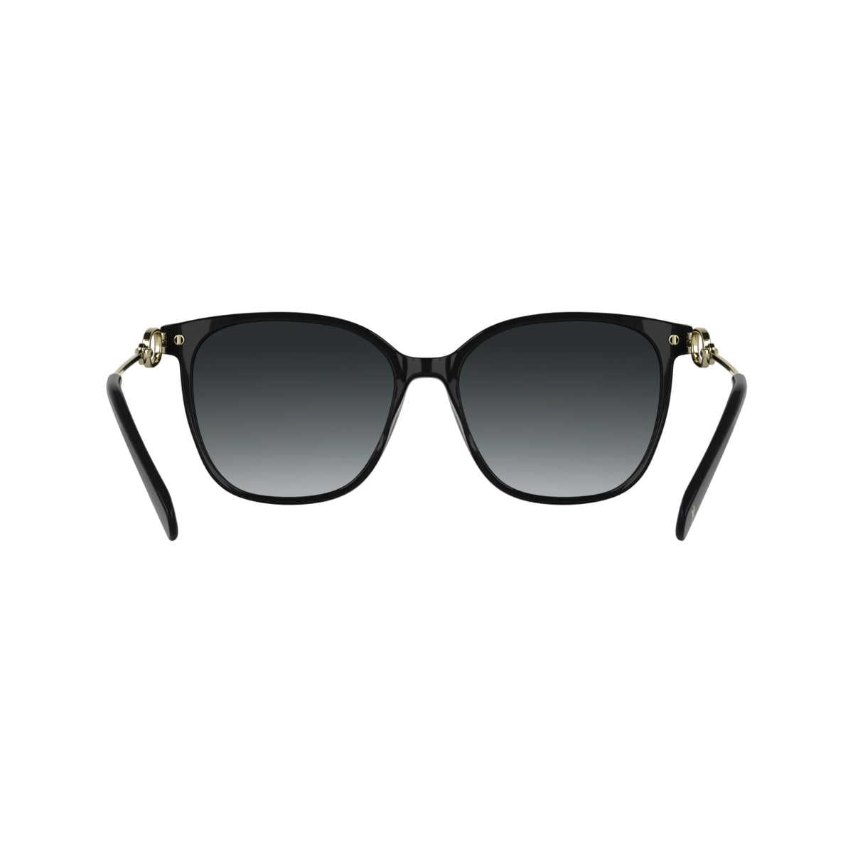 Sunglasses Longchamp LO805S 001 55 16