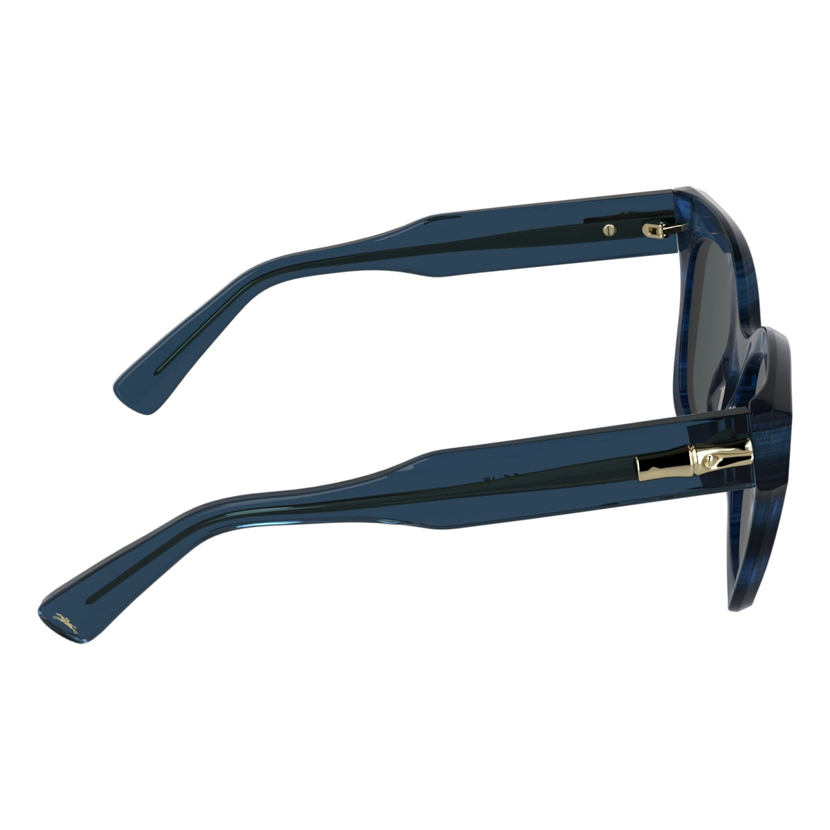 Gafas de Sol Longchamp LO791S 407 51 21