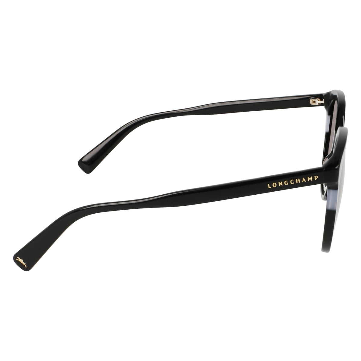 Sunglasses Longchamp LO752S 001 55 19