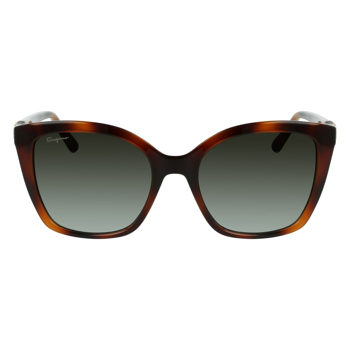 Gafas de Sol Ferragamo SF1026S 214 53.9 19