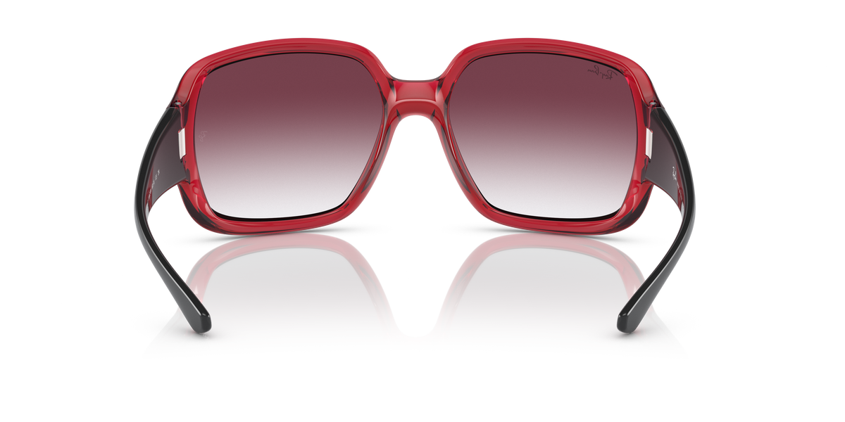 Gafas de Sol Ray-Ban Powderhorn RB4347 66628H 60 18