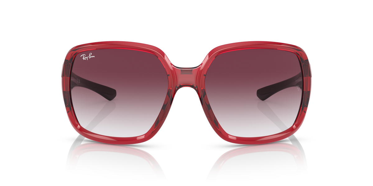 Gafas de Sol Ray-Ban Powderhorn RB4347 66628H 60 18