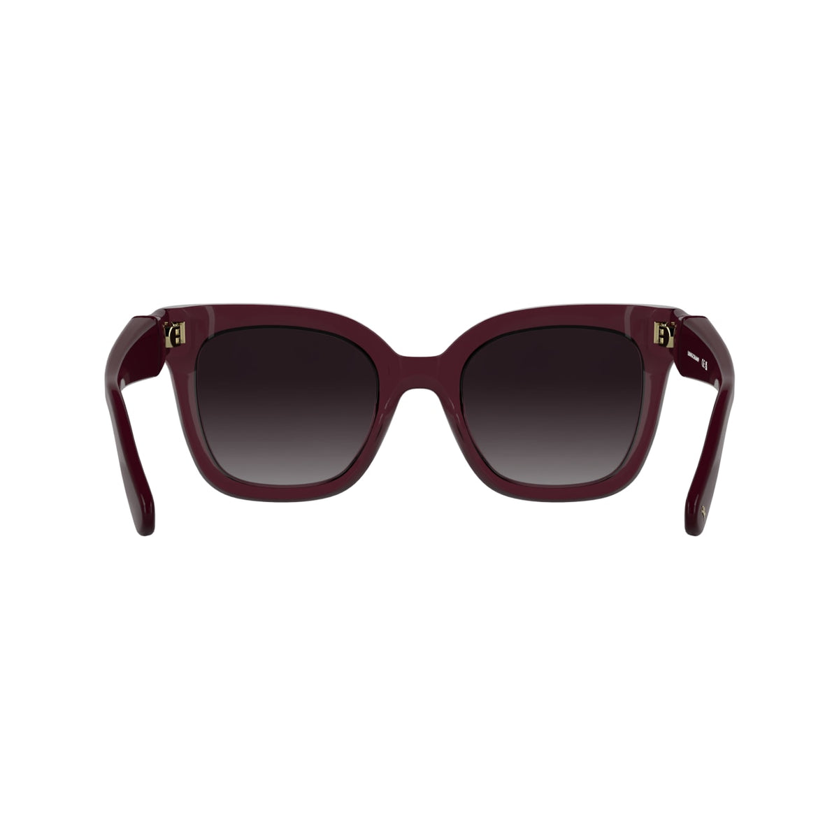 Gafas de Sol Longchamp LO793S 601 53 23