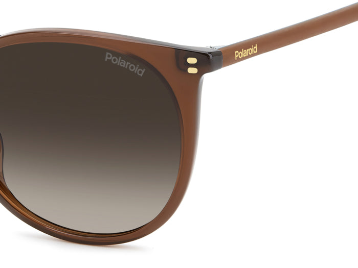 Gafas de Sol Polaroid PLD 4208/S/X 09QLA 55 18