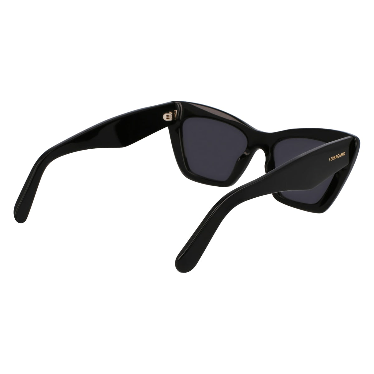 Sunglasses Ferragamo SF929SN 001 55 17
