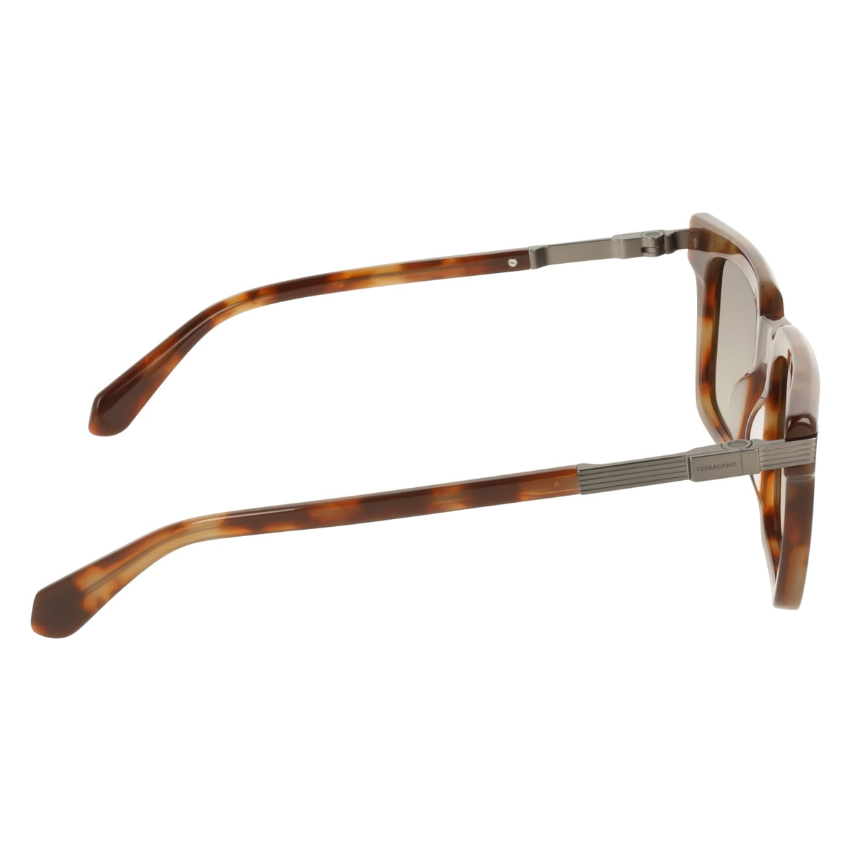 Sunglasses Ferragamo SF2103S 225 53 21