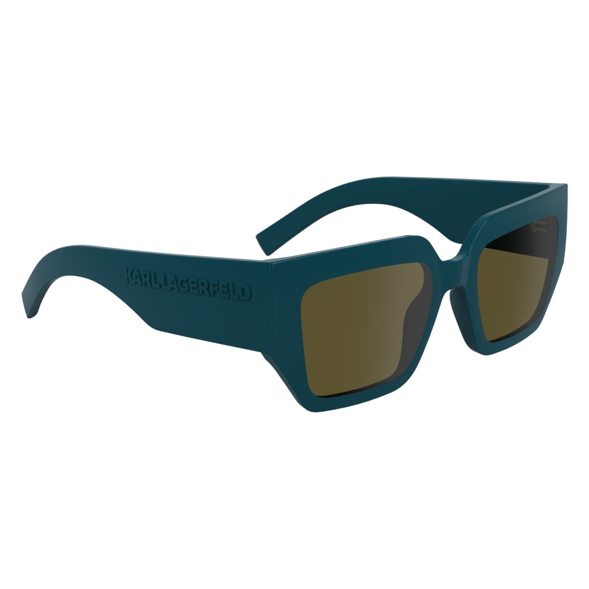 Gafas de Sol Karl Lagerfeld KL6166S 425 53 20