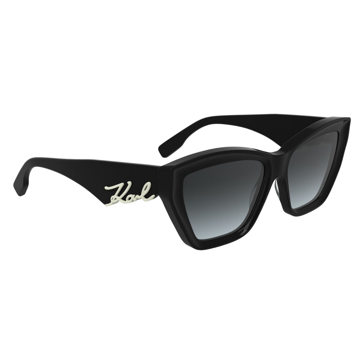 Gafas de Sol Karl Lagerfeld KL6179S 001 55 16