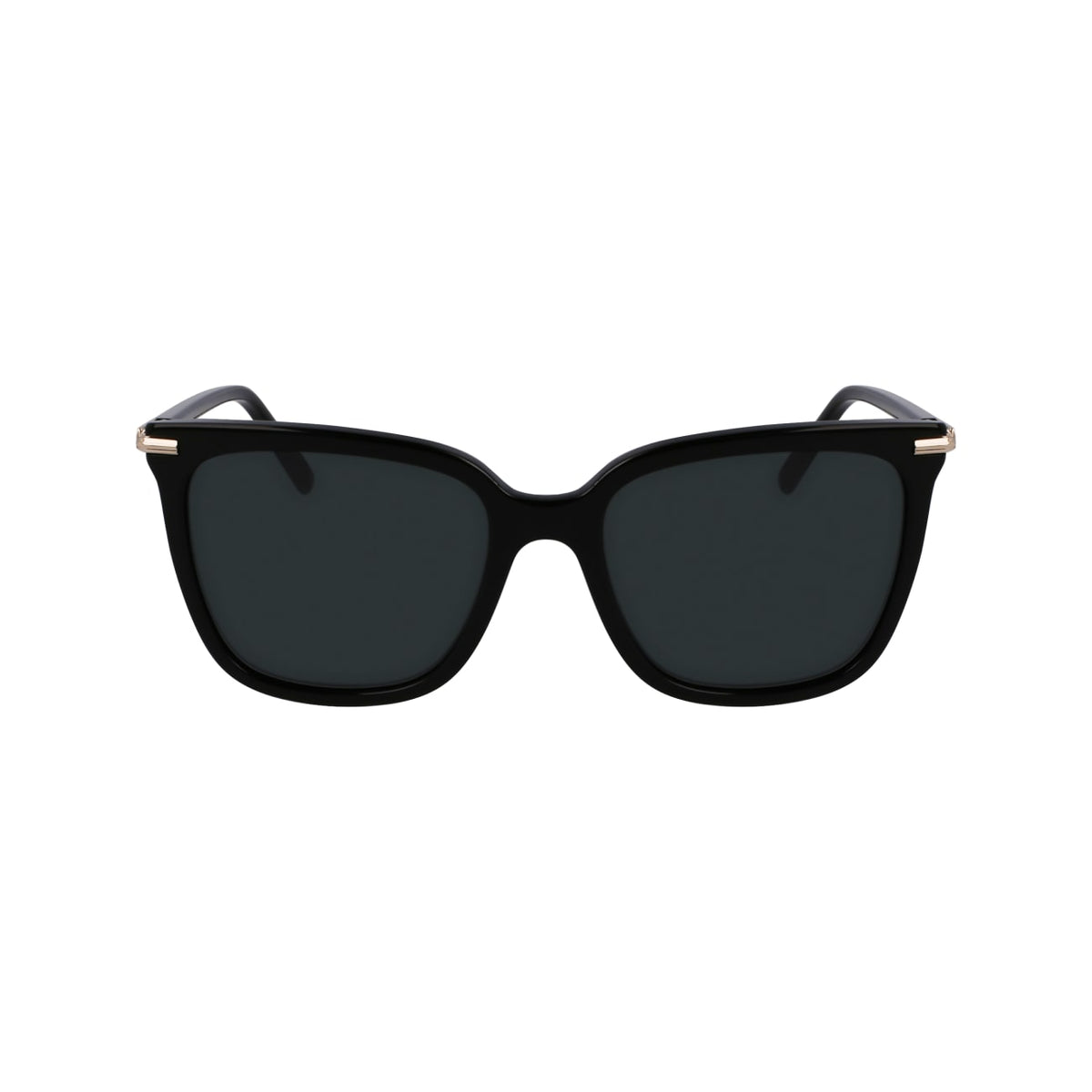 Gafas de Sol Ferragamo SF2037S 001 56 18